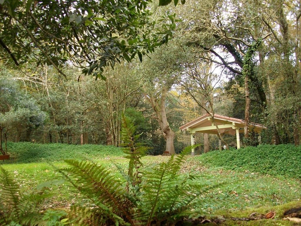 San De Escalante